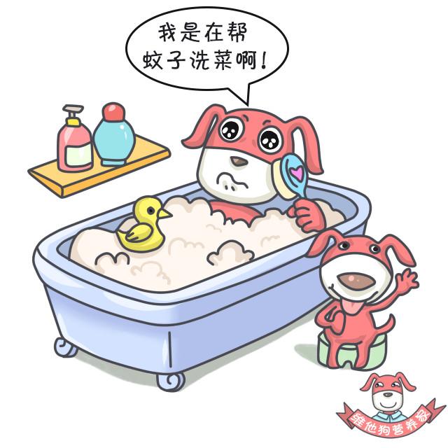 鍚歌铓婂瓙婕敾,鍏充簬铓婂瓙婕敾