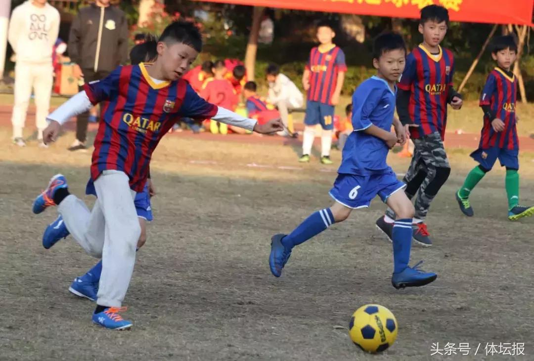 浙本生意经｜足球培训企业“借东风”，家长纷纷送孩子去踢球