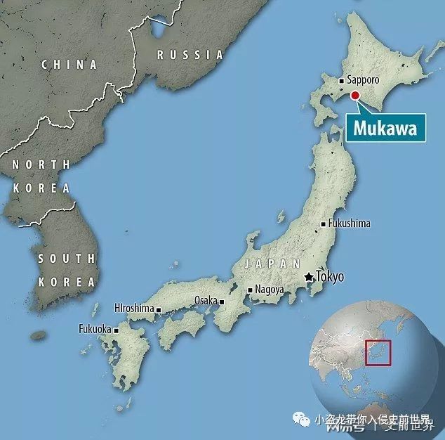 在日本发现的恐龙化石,史上最完好的恐龙化石