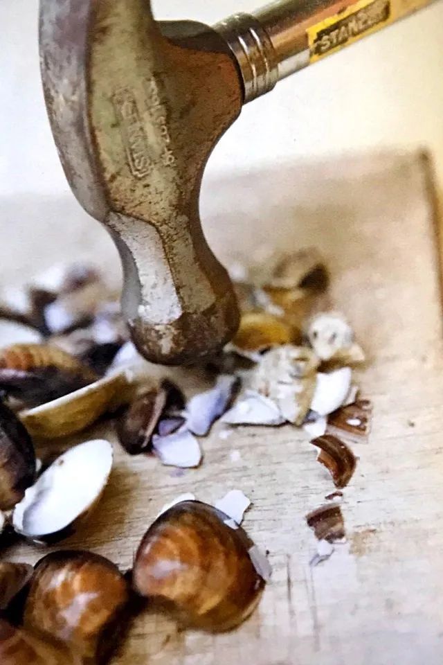 自己制作生物堆肥教程,园艺半干半湿废弃物堆肥发酵