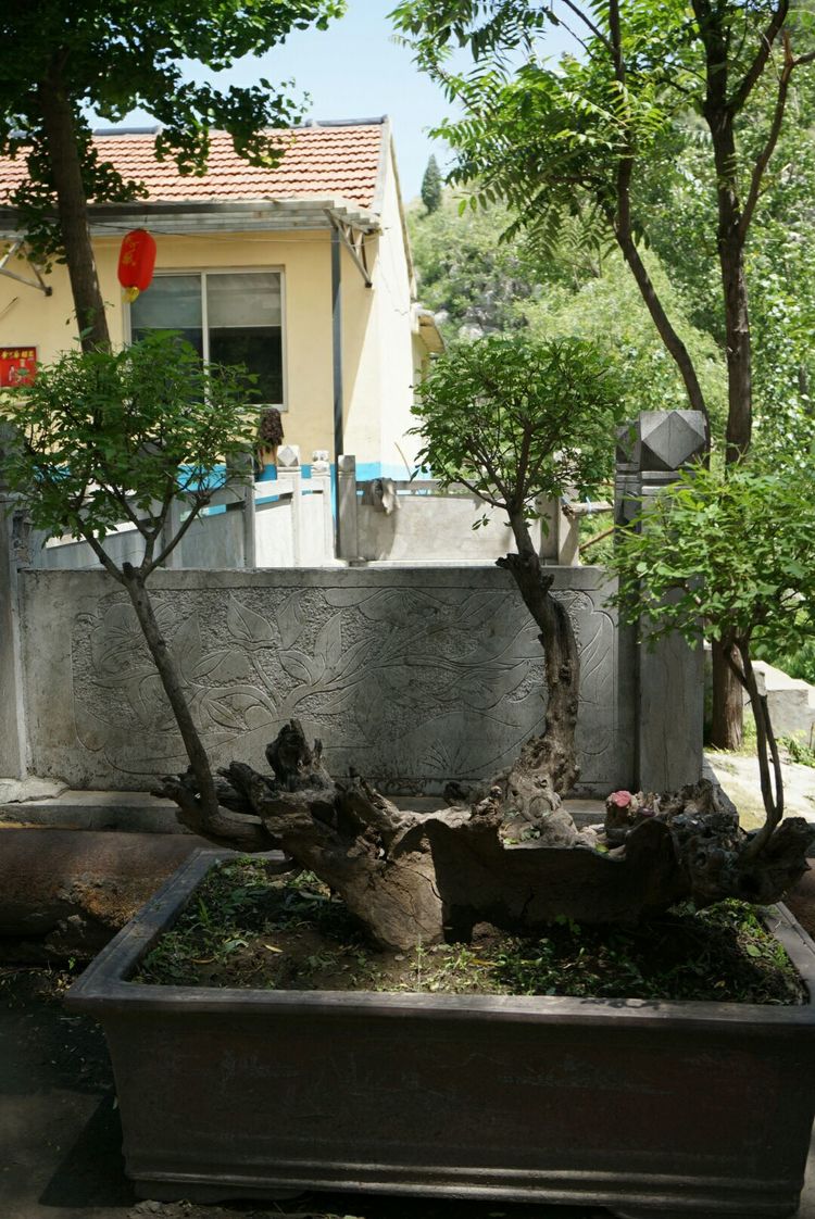 天晴湾风景区,淄川天晴湾