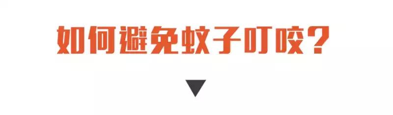 防止蚊子咬最好的方法,终于知道为什么容易被蚊子咬了
