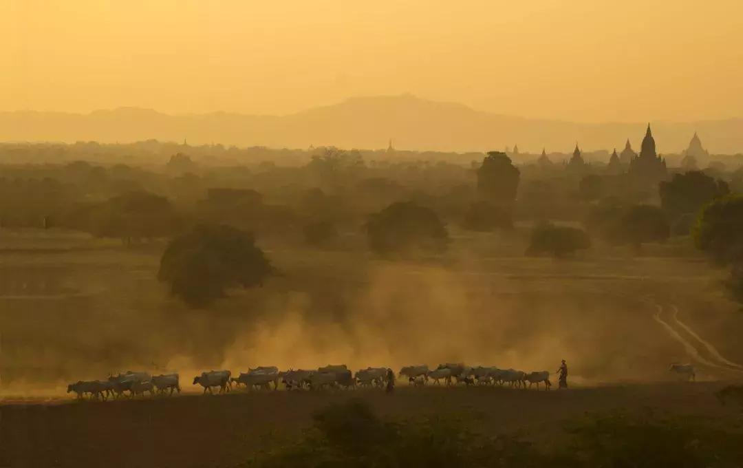 秋季旅行大片,旅行摄影大片有哪些