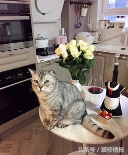 马卡龙空间法式款,马卡龙色系简单又漂亮