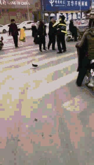 河南袭击警车事件,河南省郑州袭击派出所案件