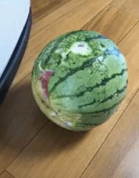 狗狗吃东西中毒症状,狗狗吃东西中毒要多久