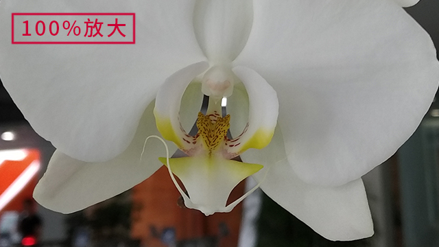 红米6Pro评测:4000mAh电池,FHD+屏幕,满意吗?