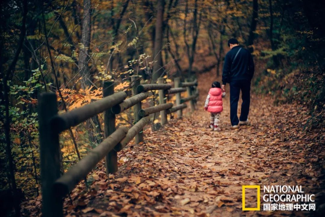 韩国足球的犯规艺术,韩国踢足球犯规现场