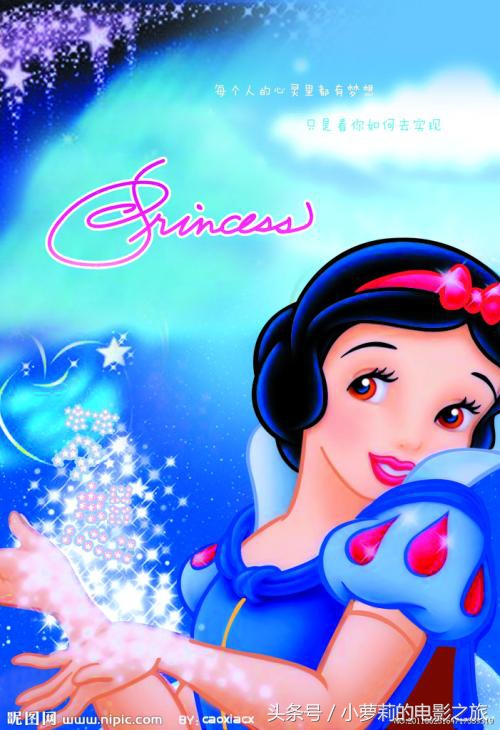 迪士尼公主12位都分别是谁,迪士尼动画里的几位公主