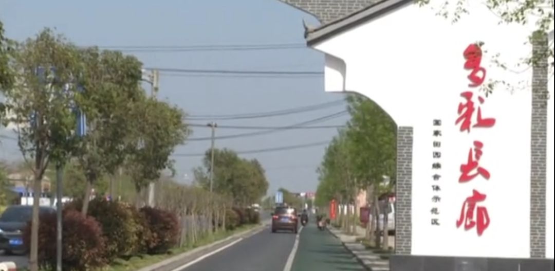 孟津袖珍西瓜多少钱,孟津袖珍西瓜新品种