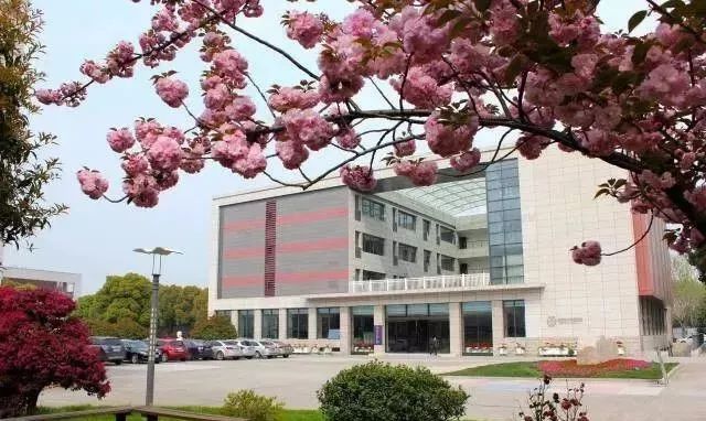 紫荆花路南京,紫荆花路昆明