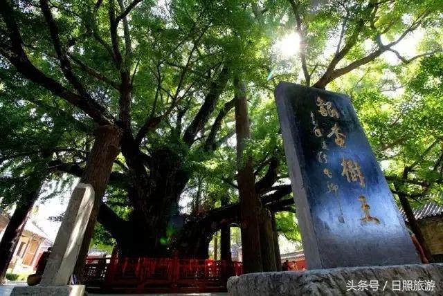 热！进入铁板烧模式，这个“锦囊”里藏着日照25°的夏天！