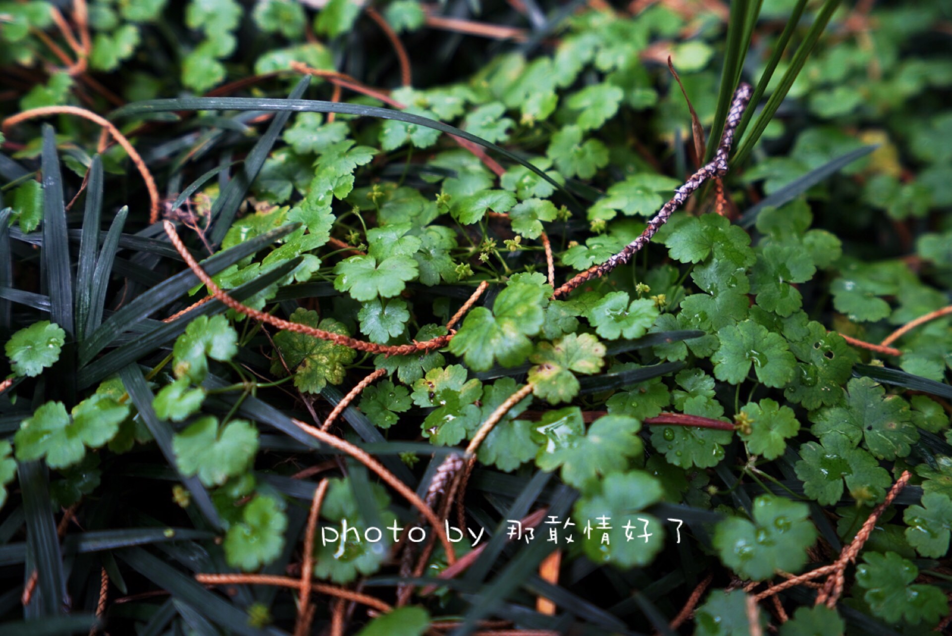 滁州小众的地方,滁州小众