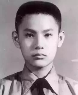 明星唱歌张信哲,不会画画的艺术家