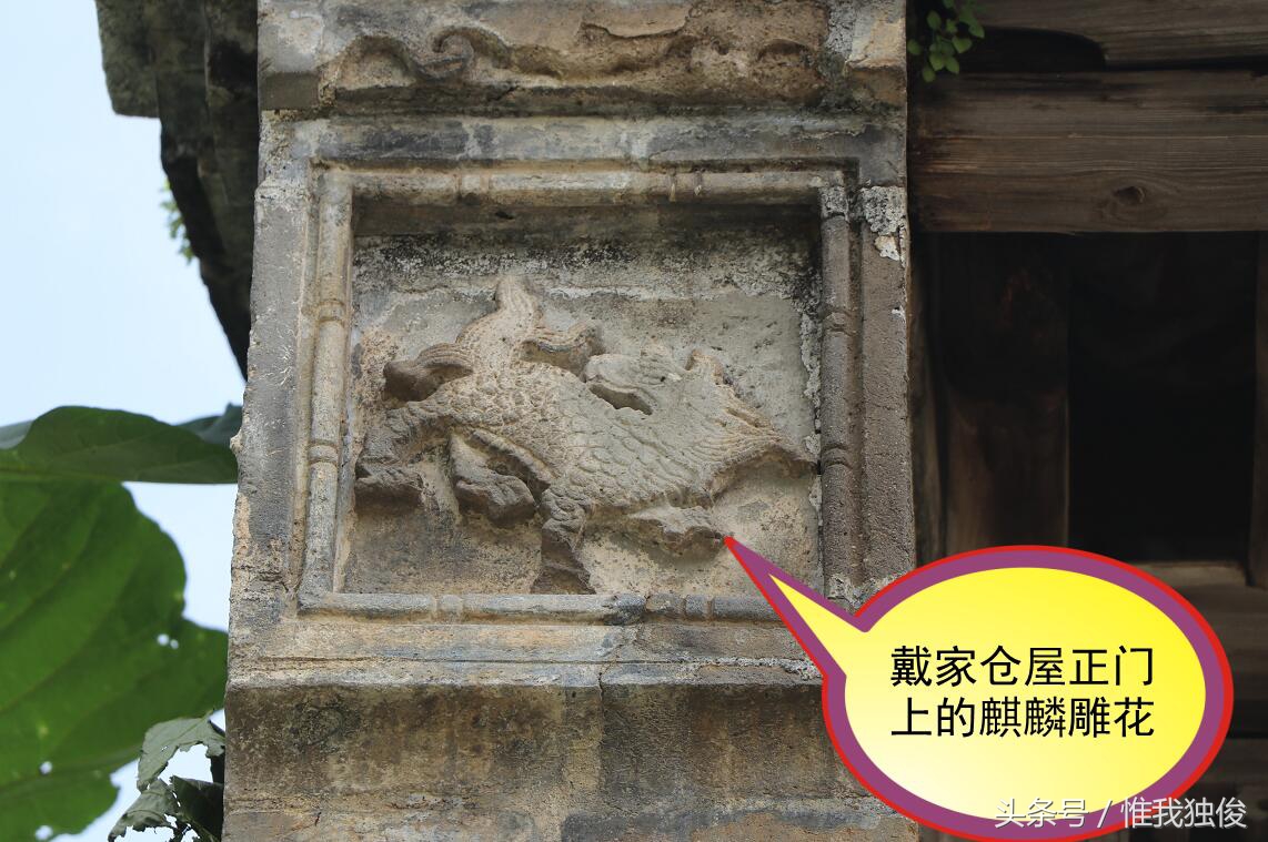 随州太白顶风景区简介视频,发现之旅神农架野人之谜