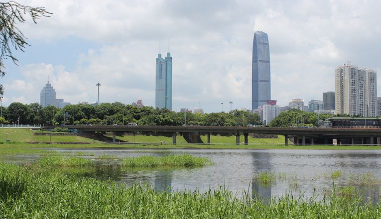 自家别墅花园有蛇什么原因,深圳一别墅区惊现蛇出没