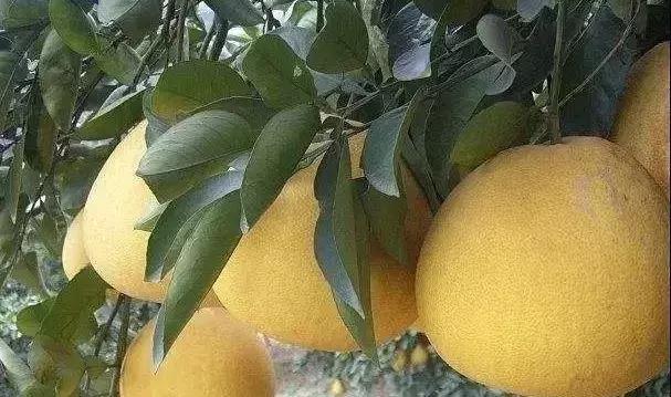 下一站湘府路站,下一站湖南