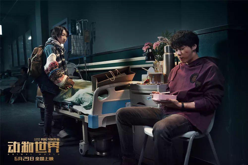 动物世界冷知识,动物世界细节解析