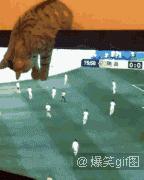 千万不要赌球,千万不要赌球搞笑版