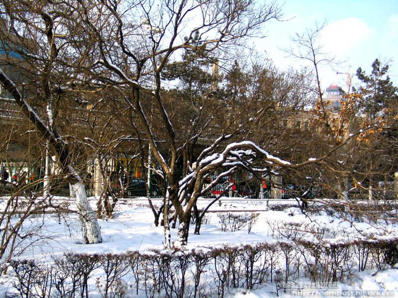 哈工大数学和计算机,哈工大数学与计算机专业哪个好