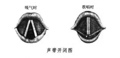 如何不用嗓子唱歌,有的人唱歌不需要练