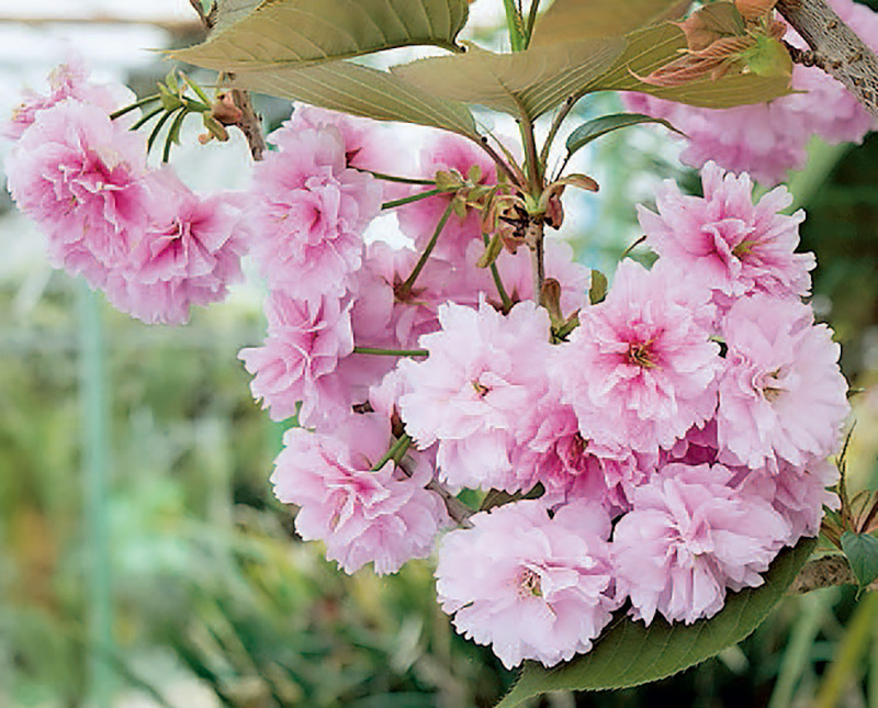 单反相机快速入门,单反相机入门购买