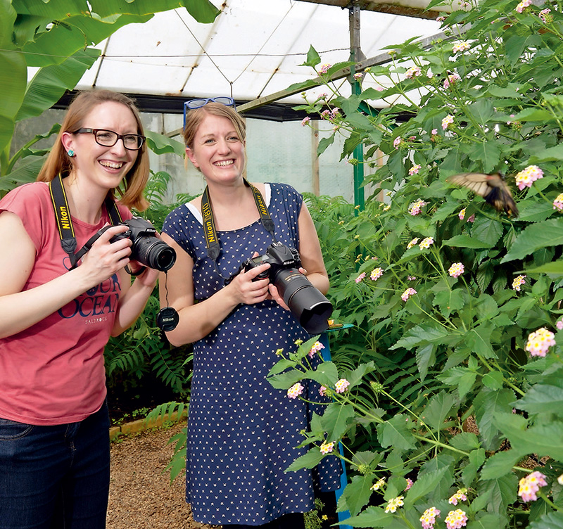 单反入门相机推荐,入门数码单反相机