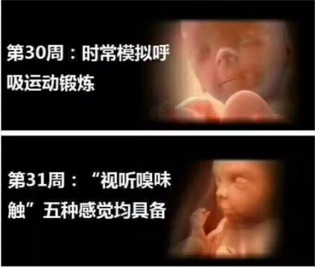 养出漂亮宝宝,养出聪明娃的技巧