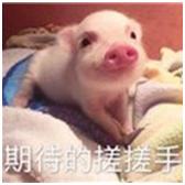 实况足球手游射门战术,实况足球手游球门