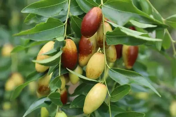 最新消息！国家点名表扬北京这几个区，快看看有你们家嘛？