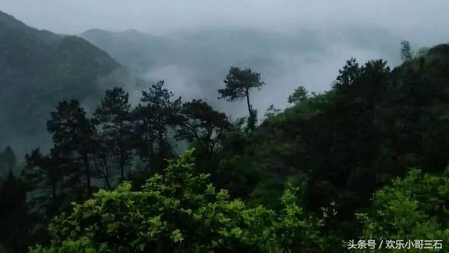 终南山上修行的90后们,终南山真实修仙者