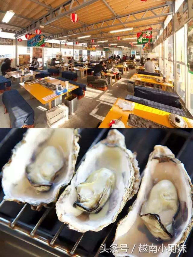 14个不要去日本广岛的理由，成功的说服了我