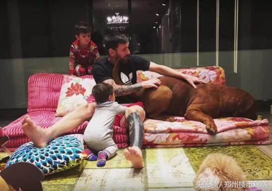 足球巨星有多壕,身价10亿级的足球巨星豪宅