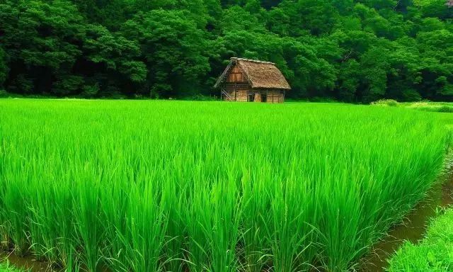 微信聊天护眼背景图高清大图,护眼背景图微信聊天背景