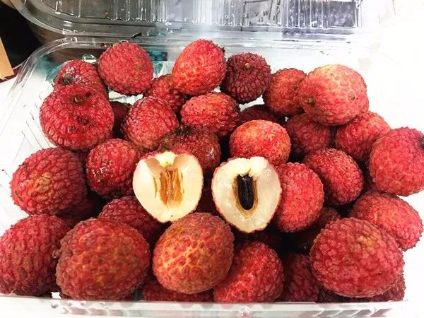 百年荔枝树广西,百年香荔树出售