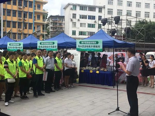 百年荔枝树广西,百年香荔树出售