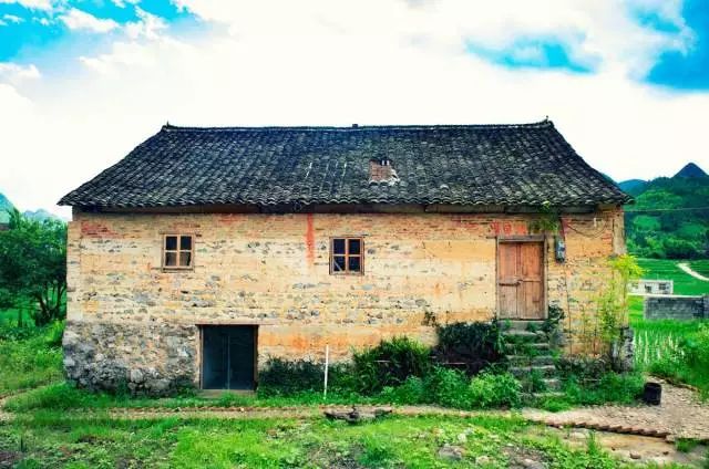 麻雀变凤凰台湾,麻雀变凤凰台湾版