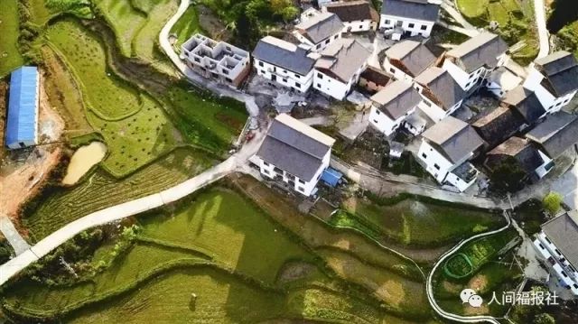 麻雀变凤凰台湾,麻雀变凤凰台湾版