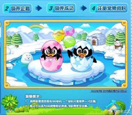 QQ宠物将停运！网友：我养了十年的胖企鹅说丢就丢啦？！