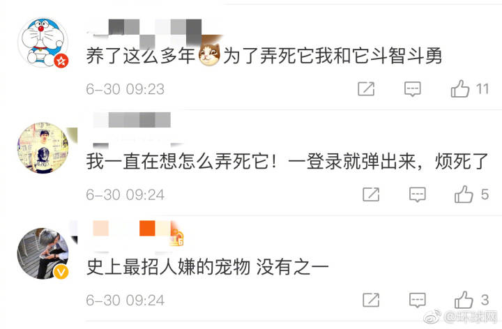 QQ宠物将停运！网友：我养了十年的胖企鹅说丢就丢啦？！