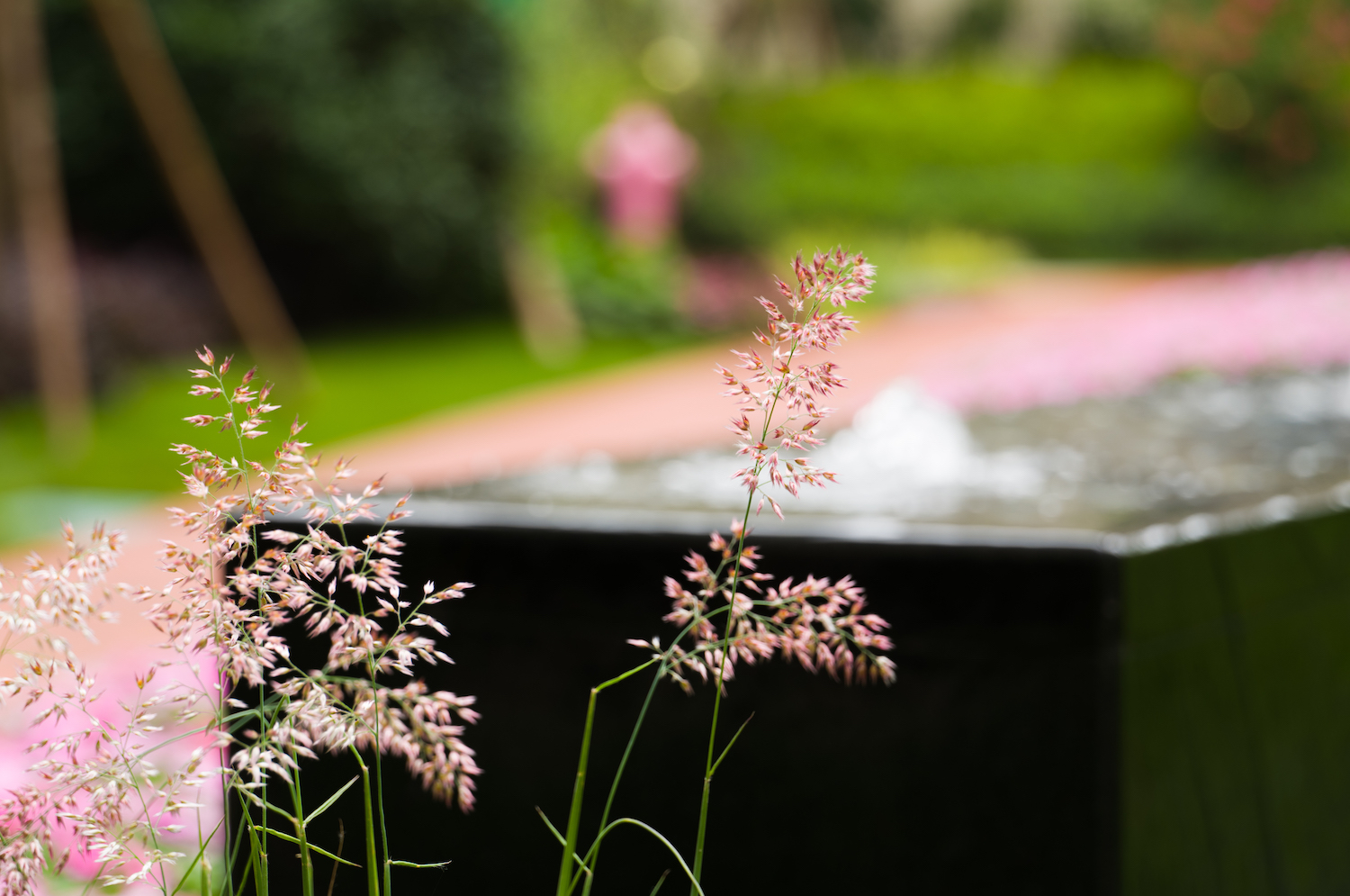 开启诗和远方,龙湖三千庭三居室
