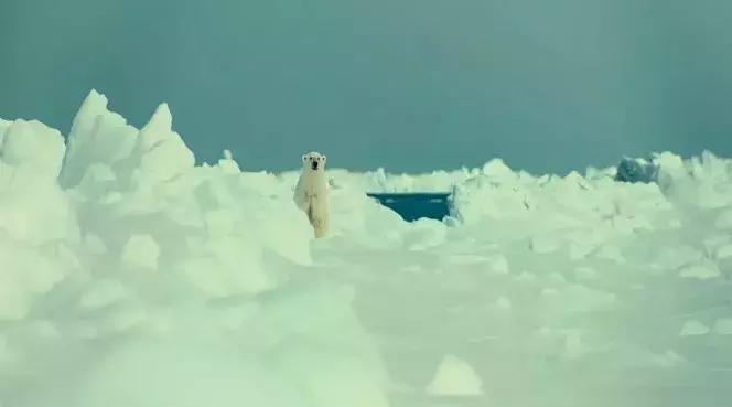 探索自然的纪录片推荐,七部神级自然纪录片你看过几部