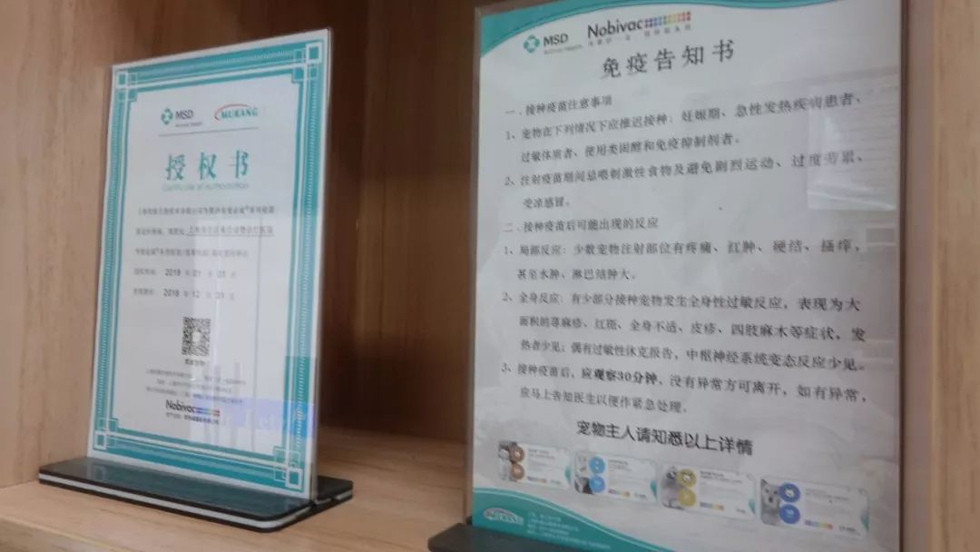 打完三针疫苗的拉布拉多,幼犬三针疫苗里面有没有细小疫苗