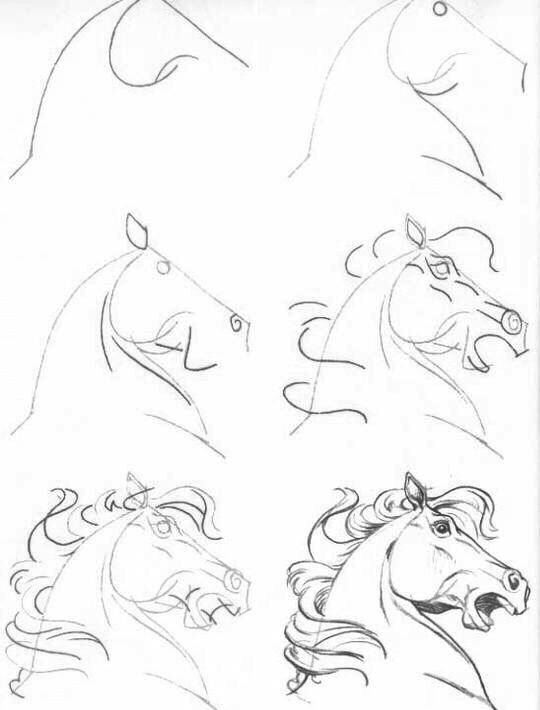 怎么把马画好,如何教你画真实的马