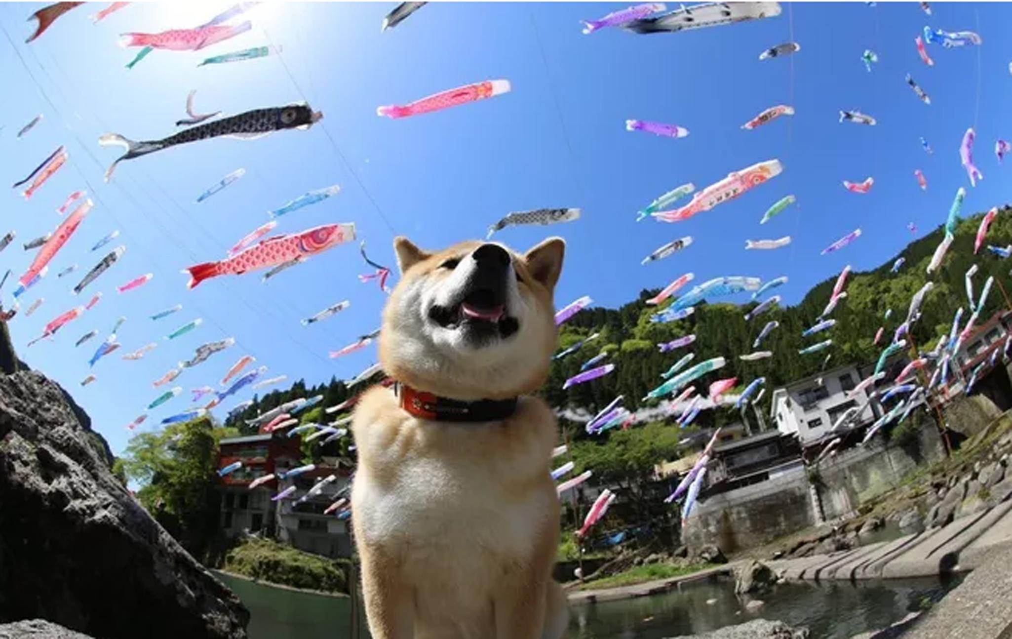 日本七天自由行攻略,日本九天攻略