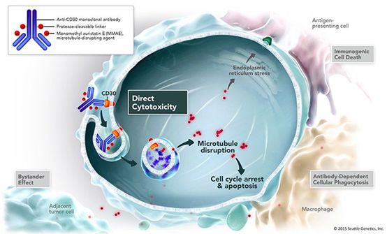 adc药物对骨转移有效吗,adc药物适用哪种癌症
