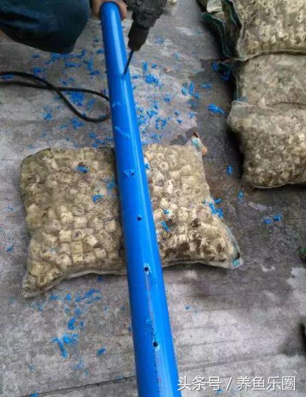 锦鲤池养鱼过滤系统,锦鲤池有了净化池还要增氧