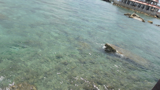 sanya天之涯，海之角我们来了