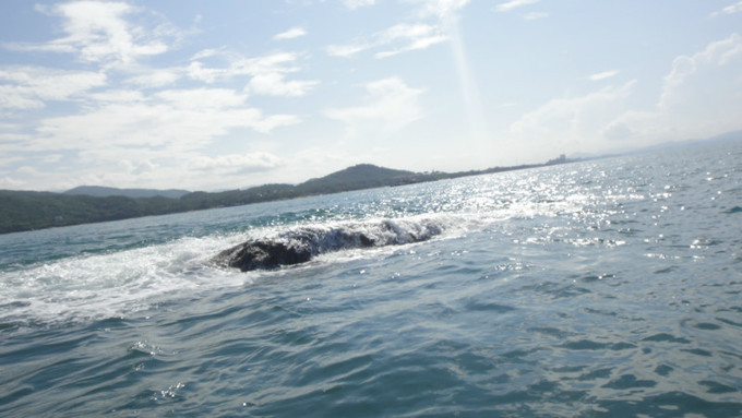 sanya天之涯，海之角我们来了