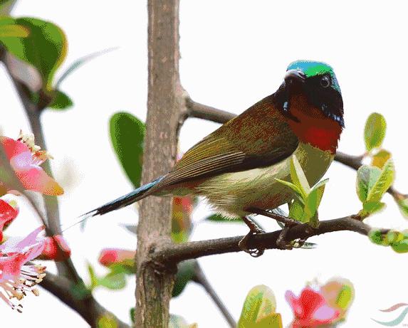 知音胜过贵贱,朋友无贵贱知音胜万金